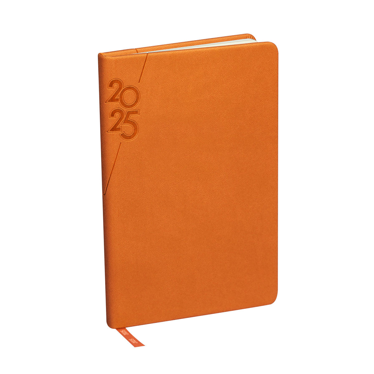 MINI TERRA AGENDA 2025