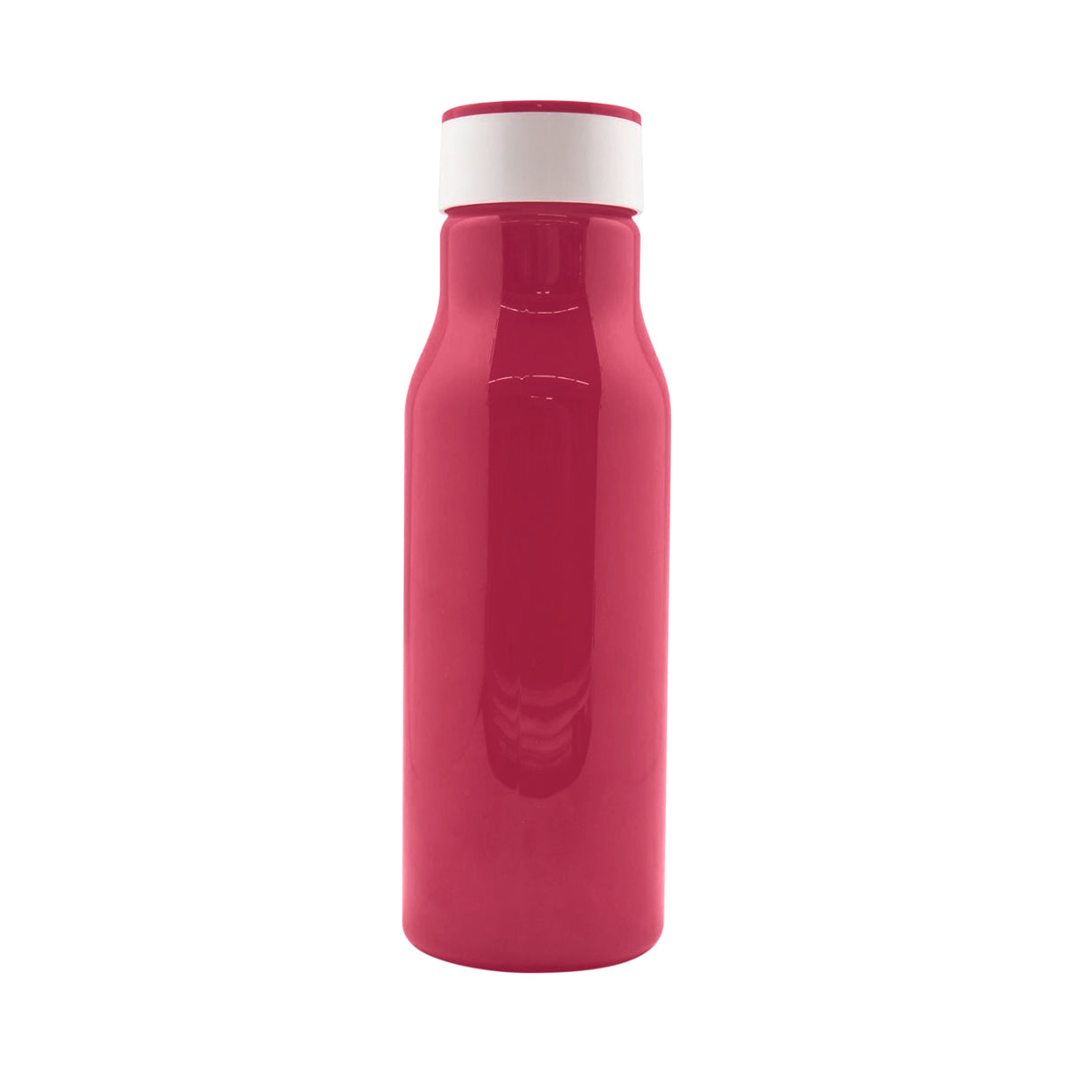 PARVO CYLINDER