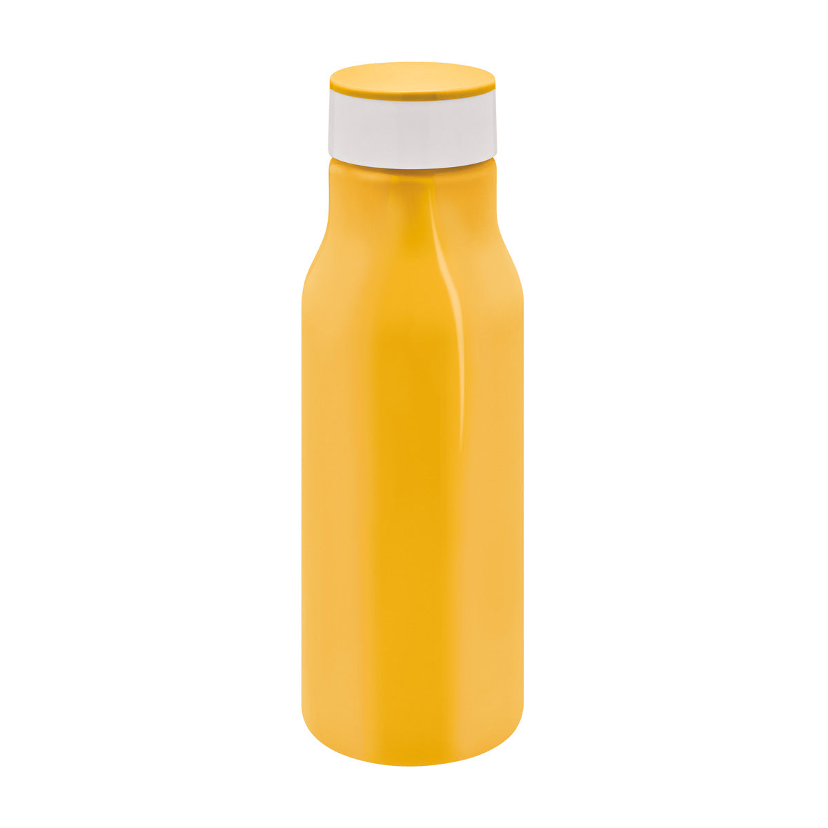 PARVO CYLINDER