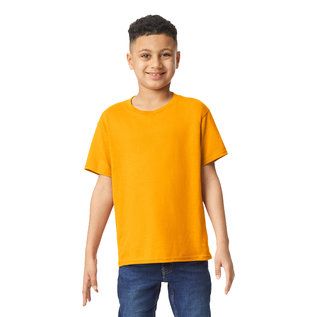 SOFTSTYLE MEN'S T-SHIRT V