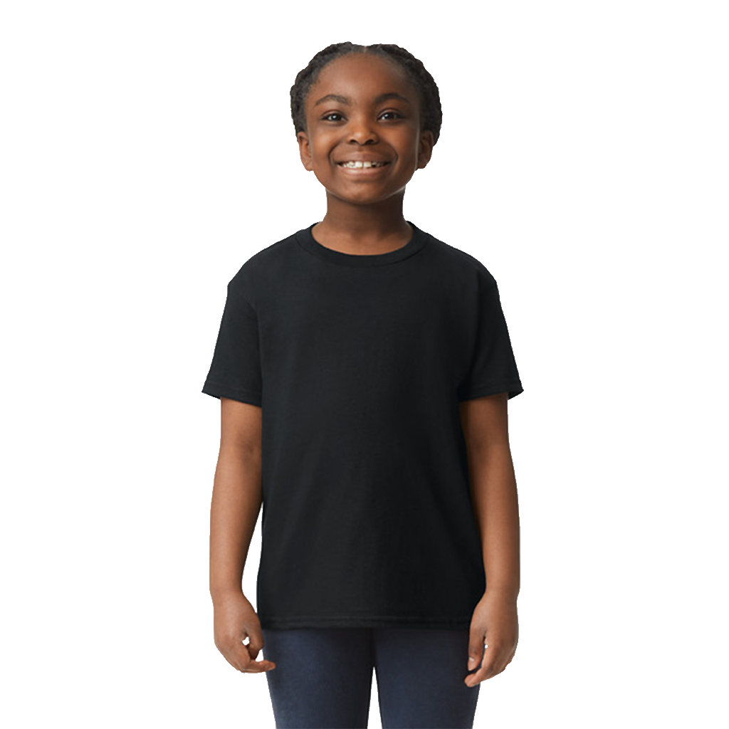 SOFTSTYLE MEN'S T-SHIRT V