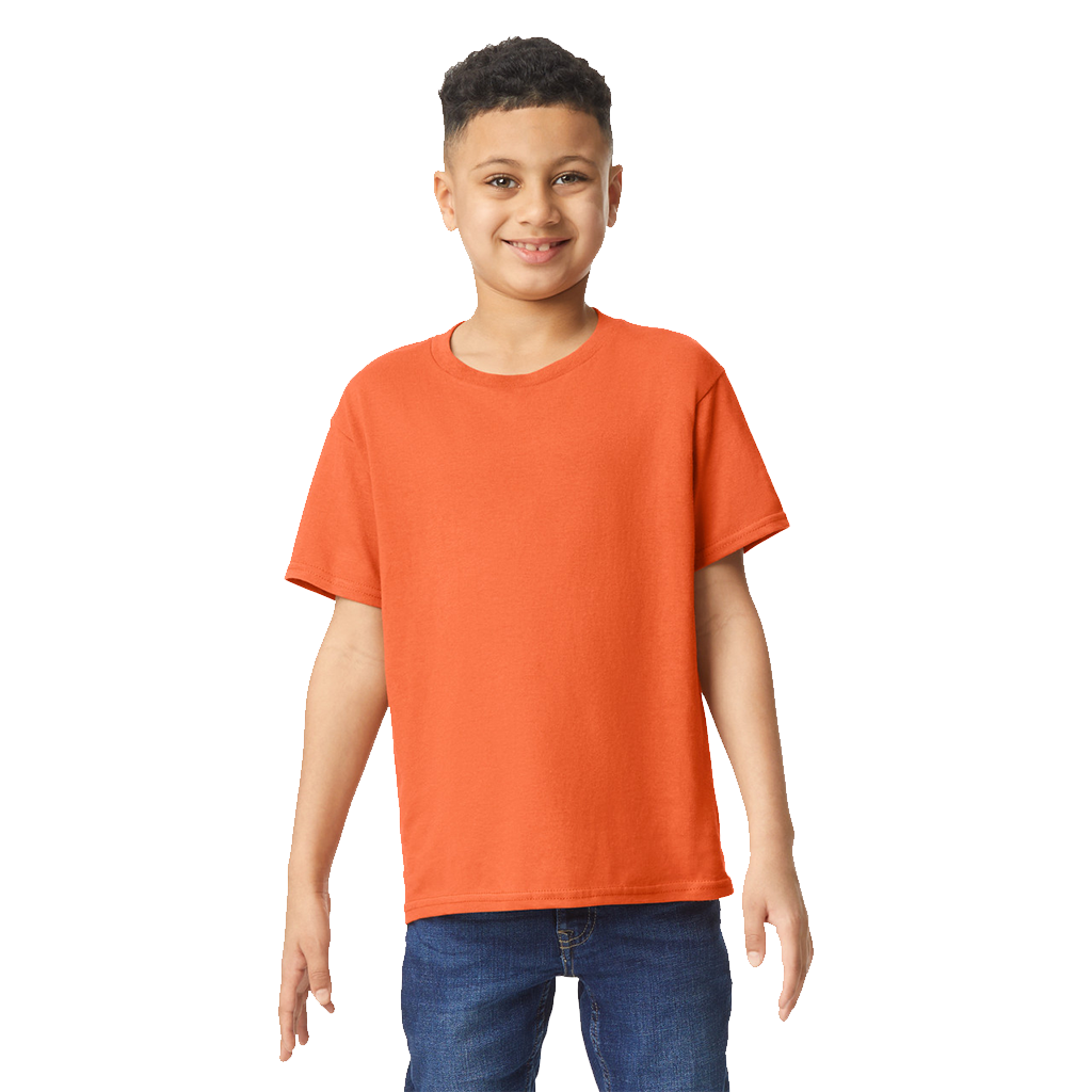 SOFTSTYLE MEN'S T-SHIRT V