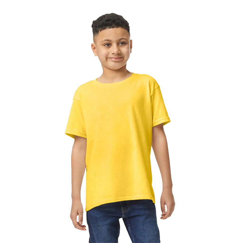 SOFTSTYLE MEN'S T-SHIRT V