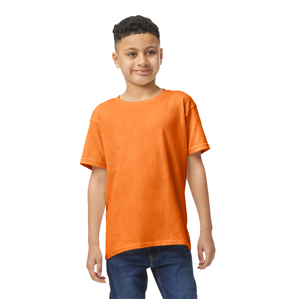 SOFTSTYLE MEN'S T-SHIRT V