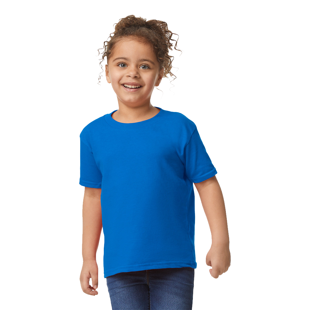 SOFTSTYLE MEN'S T-SHIRT V