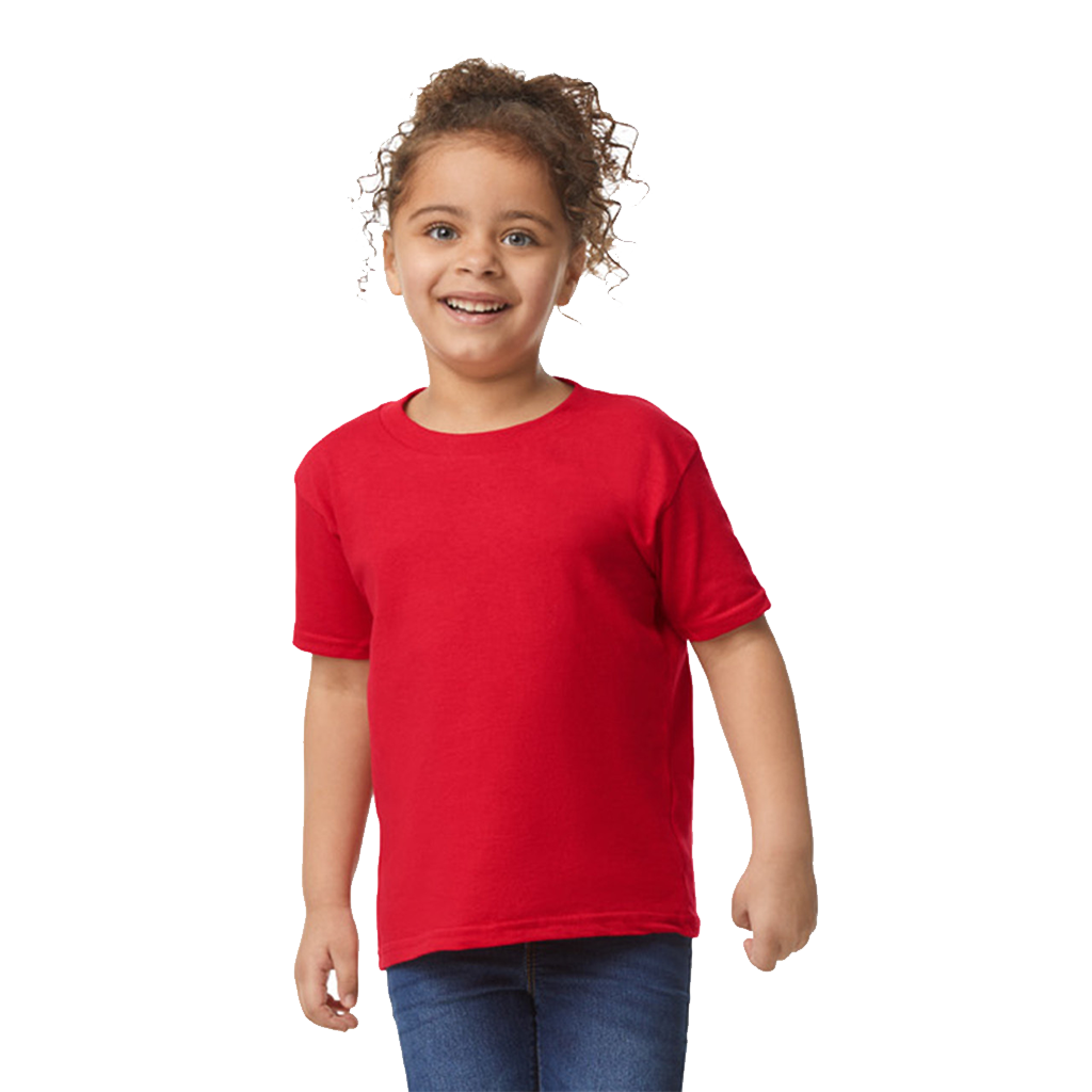 SOFTSTYLE MEN'S T-SHIRT V