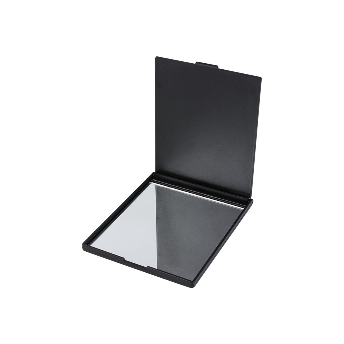 LARISA MIRROR