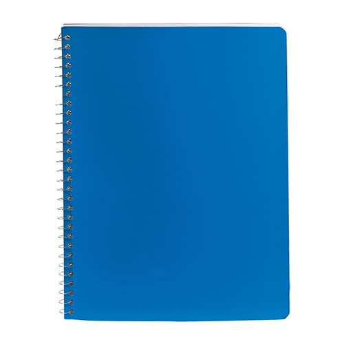 PROFESSIONAL NOTEBOOK