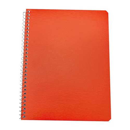 PROFESSIONAL NOTEBOOK