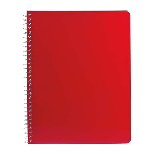 PROFESSIONAL NOTEBOOK