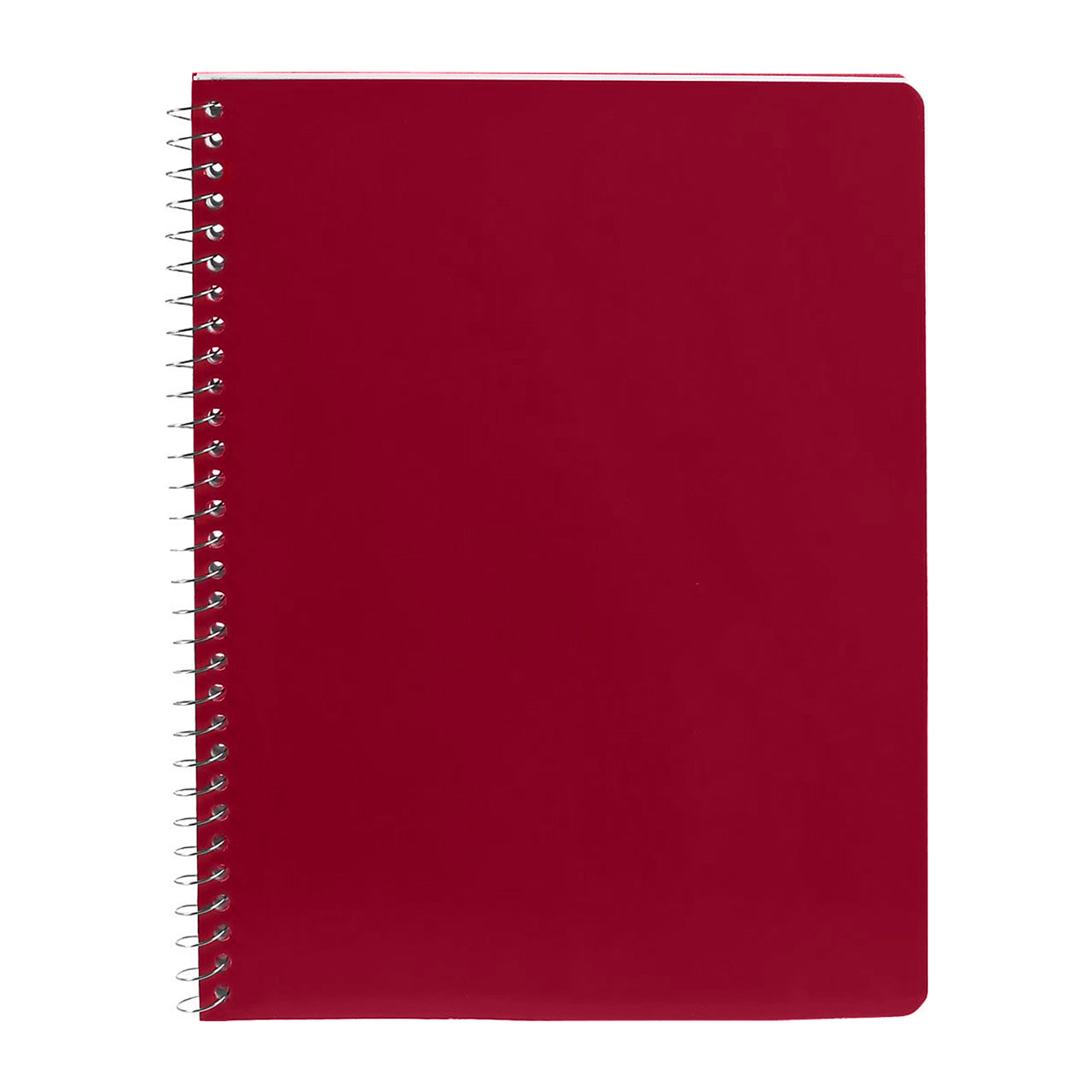 PROFESSIONAL NOTEBOOK