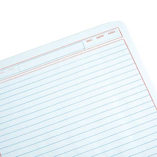 PROFESSIONAL NOTEBOOK