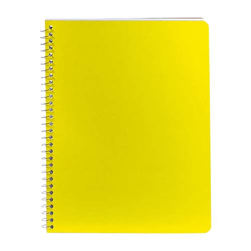 PROFESSIONAL NOTEBOOK