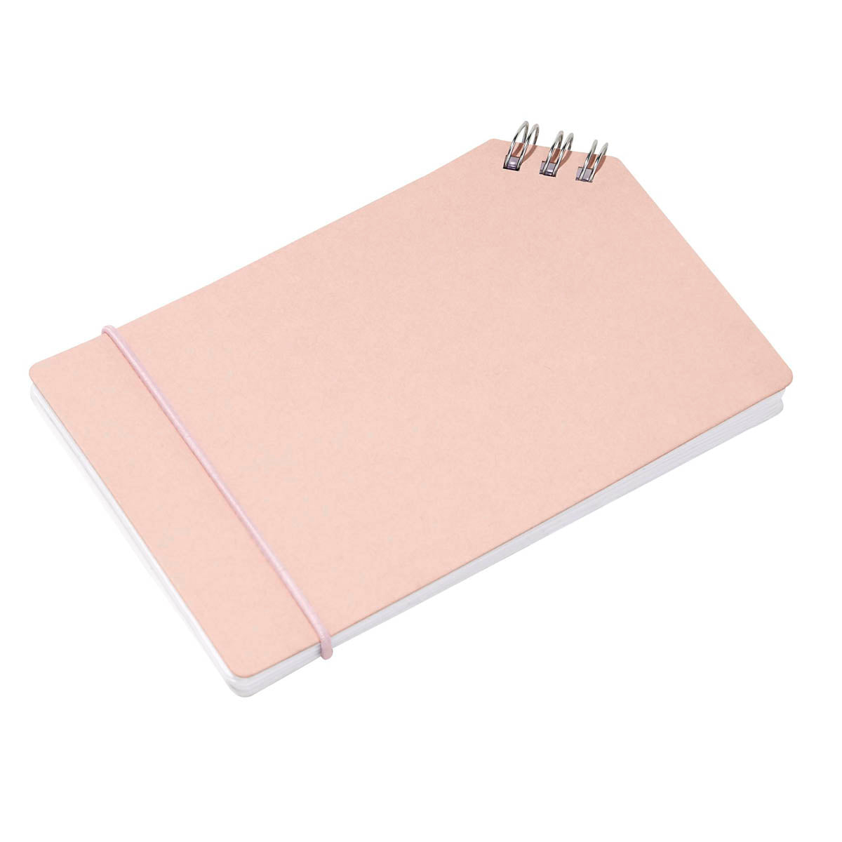 CARROLL NOTEBOOK