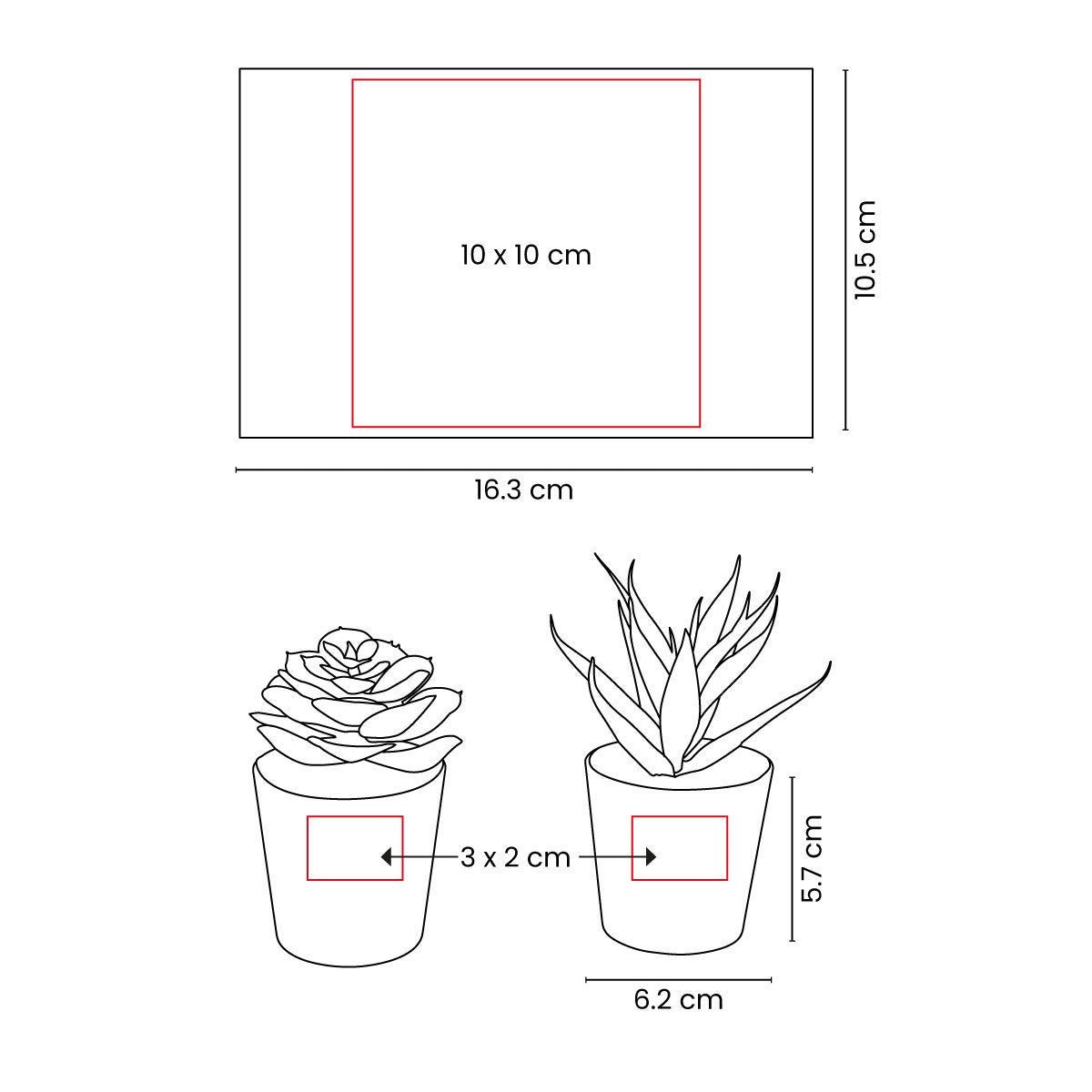 SET DE PLANTAS ALISO - Imagen Vectorial