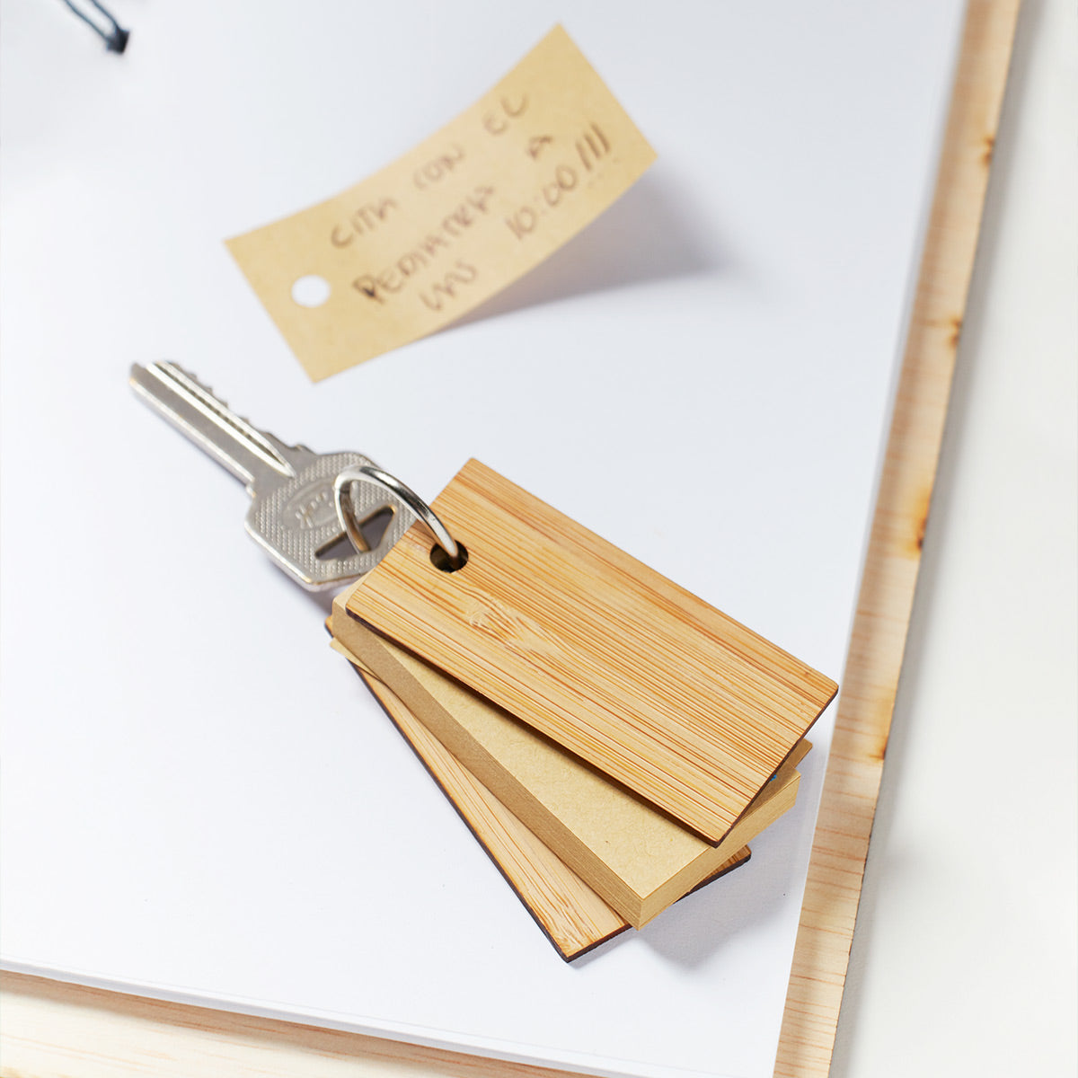 KEYCHAIN WITH LOURO NOTES