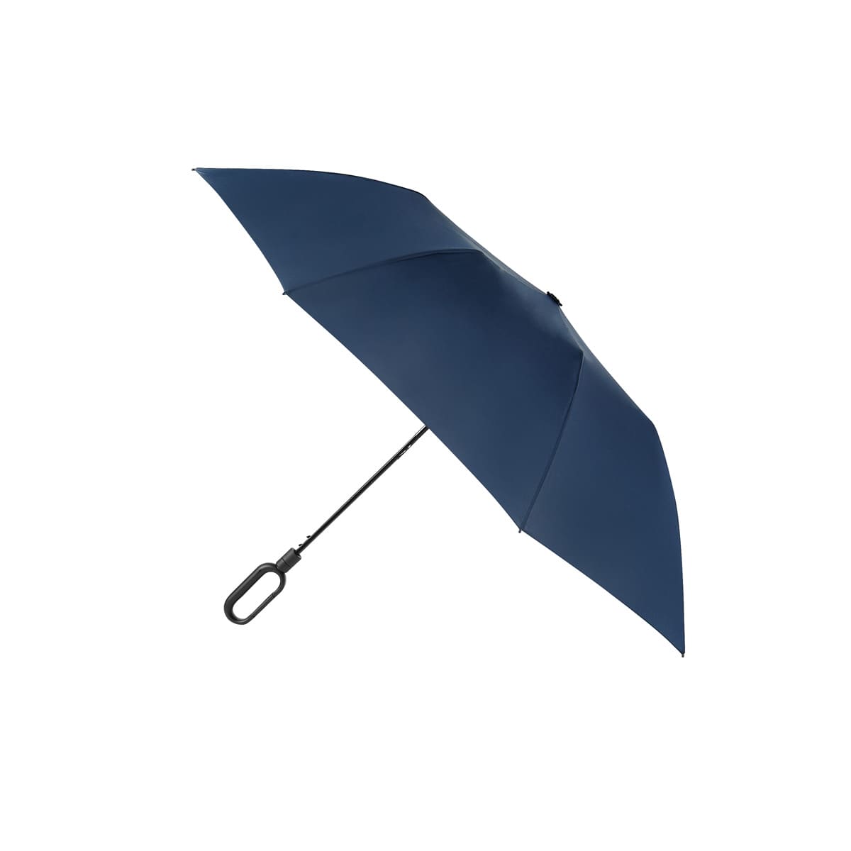 BRUNEI UMBRELLA