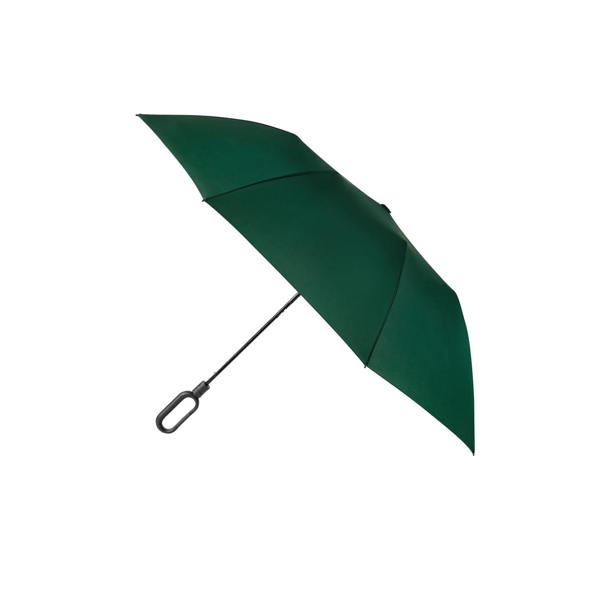 BRUNEI UMBRELLA