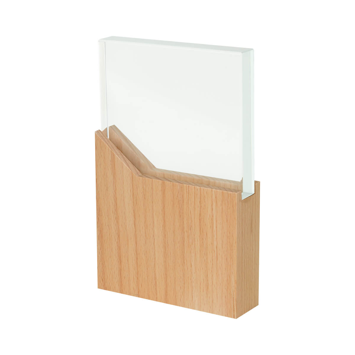 RECONOCIMIENTO LYNOR - BEIGE - img 4