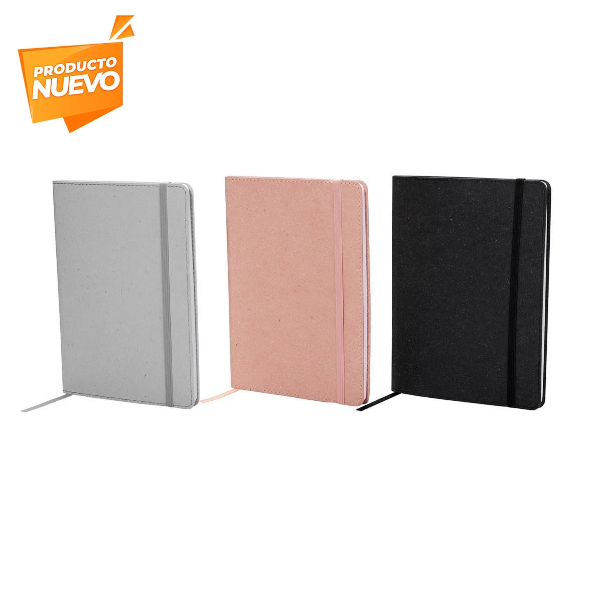 CAMUS NOTEBOOK