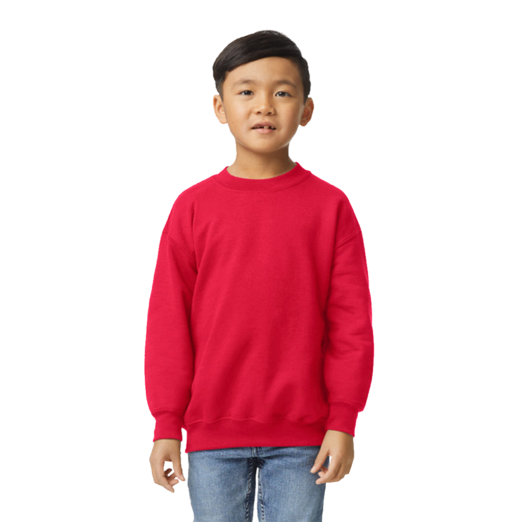 SUDADERA BÁSICA JUVENIL