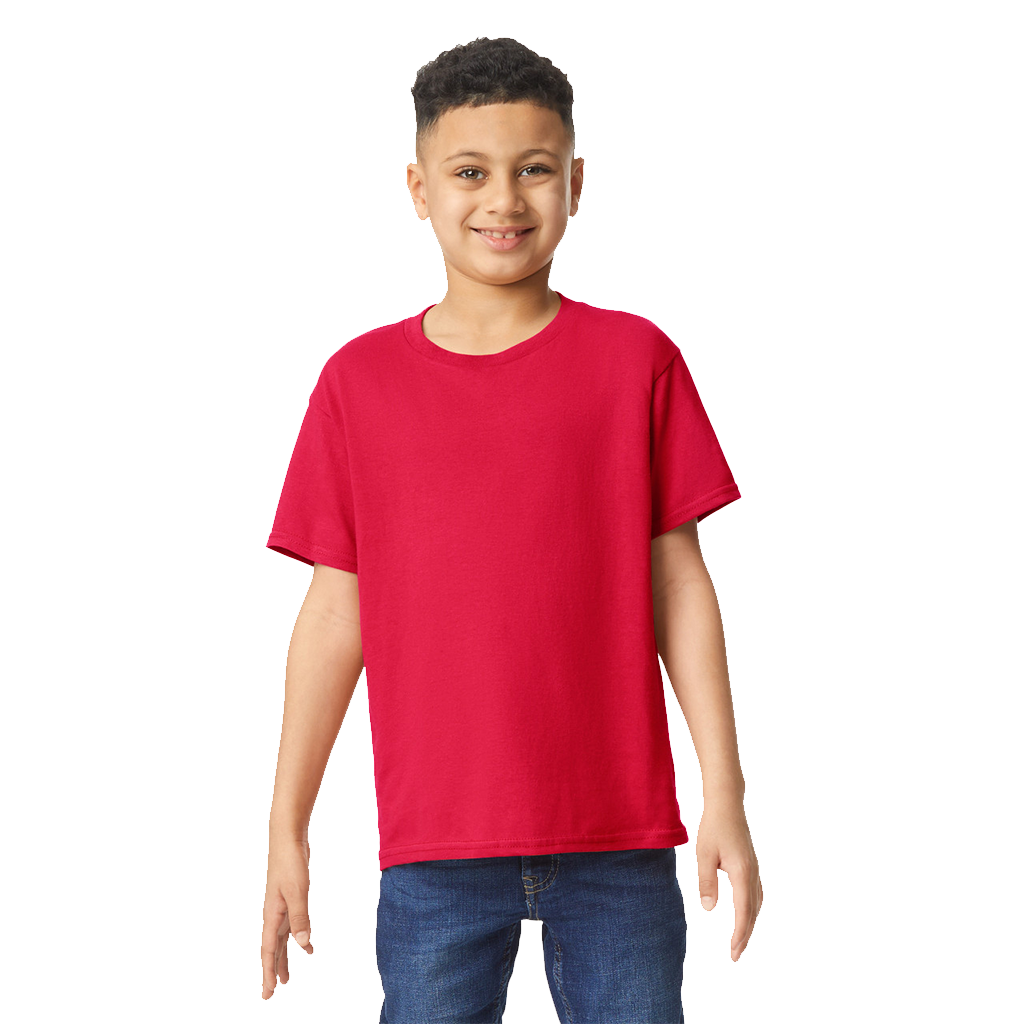 SOFTSTYLE MEN'S T-SHIRT V