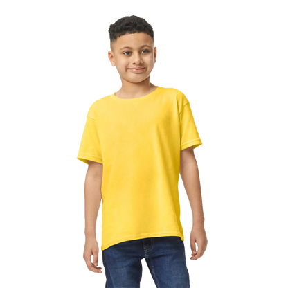 SOFTSTYLE MEN'S T-SHIRT V