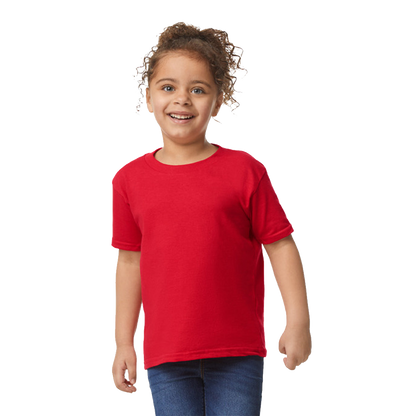 SOFTSTYLE MEN'S T-SHIRT V