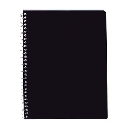 PROFESSIONAL NOTEBOOK