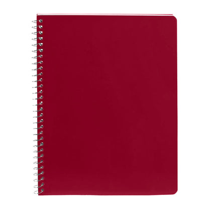 PROFESSIONAL NOTEBOOK