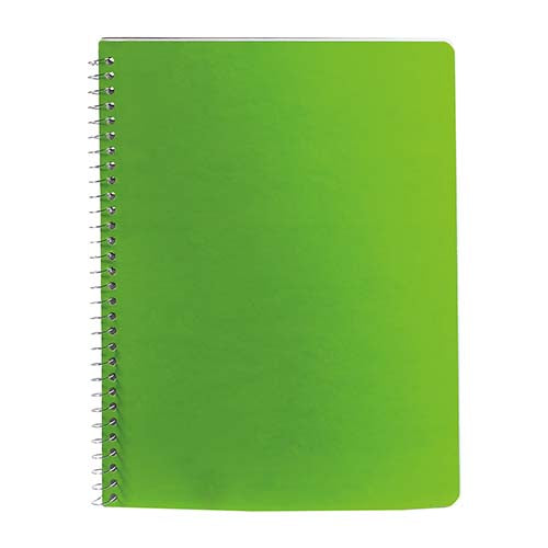 PROFESSIONAL NOTEBOOK