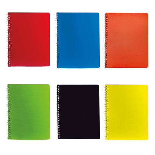 PROFESSIONAL NOTEBOOK