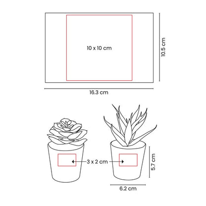Set de plantas aliso – artículo promocional personalizado en Monterrey | PROMOTIENDA