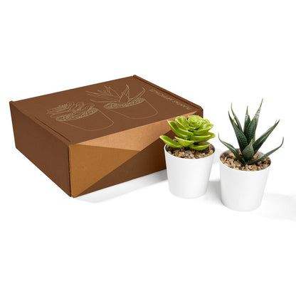 Set de plantas aliso – artículo promocional personalizado en Monterrey | PROMOTIENDA