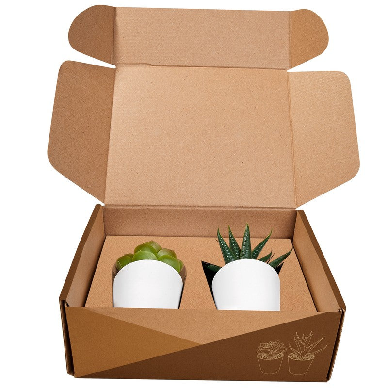 Set de plantas aliso – artículo promocional personalizado en Monterrey | PROMOTIENDA