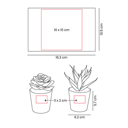 SET DE PLANTAS ALISO - Imagen Vectorial