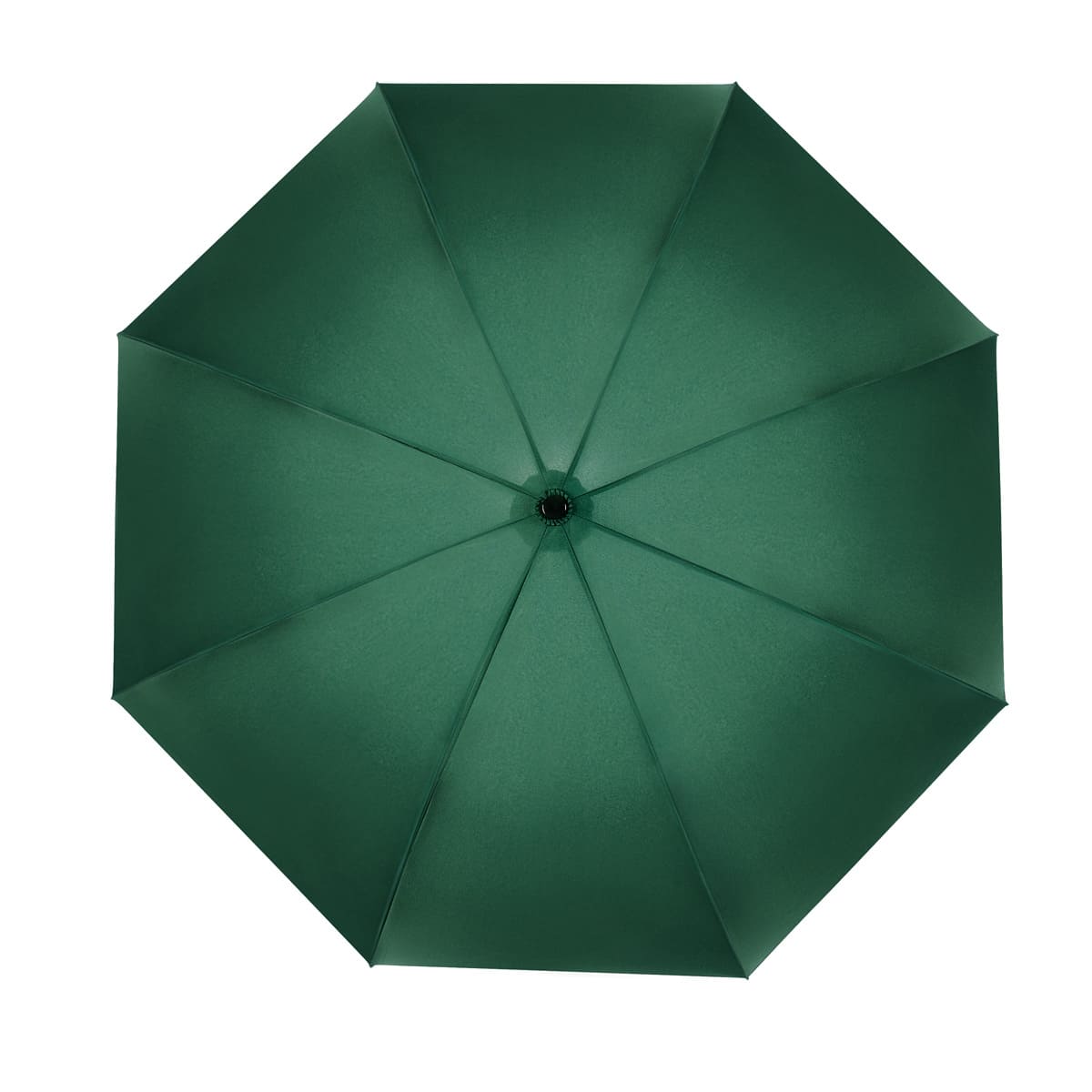 BRUNEI UMBRELLA