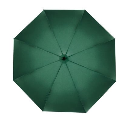 BRUNEI UMBRELLA
