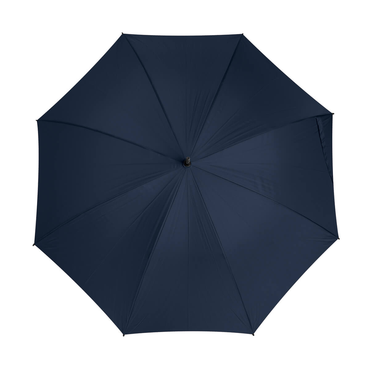 extsrc:3ba8a5660e20d319f5237d3954adb1a53678071b