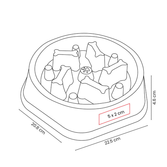 PLATO OSSIS - Imagen Vectorial